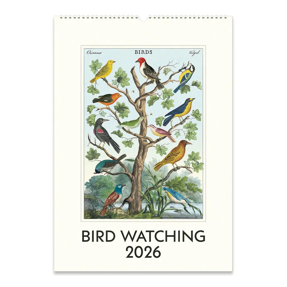 Cavallini Bird Watching 2026 Wall Calendar