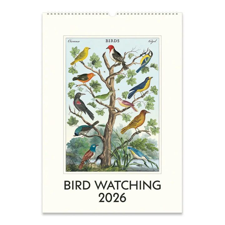 Cavallini Bird Watching 2026 Wall Calendar