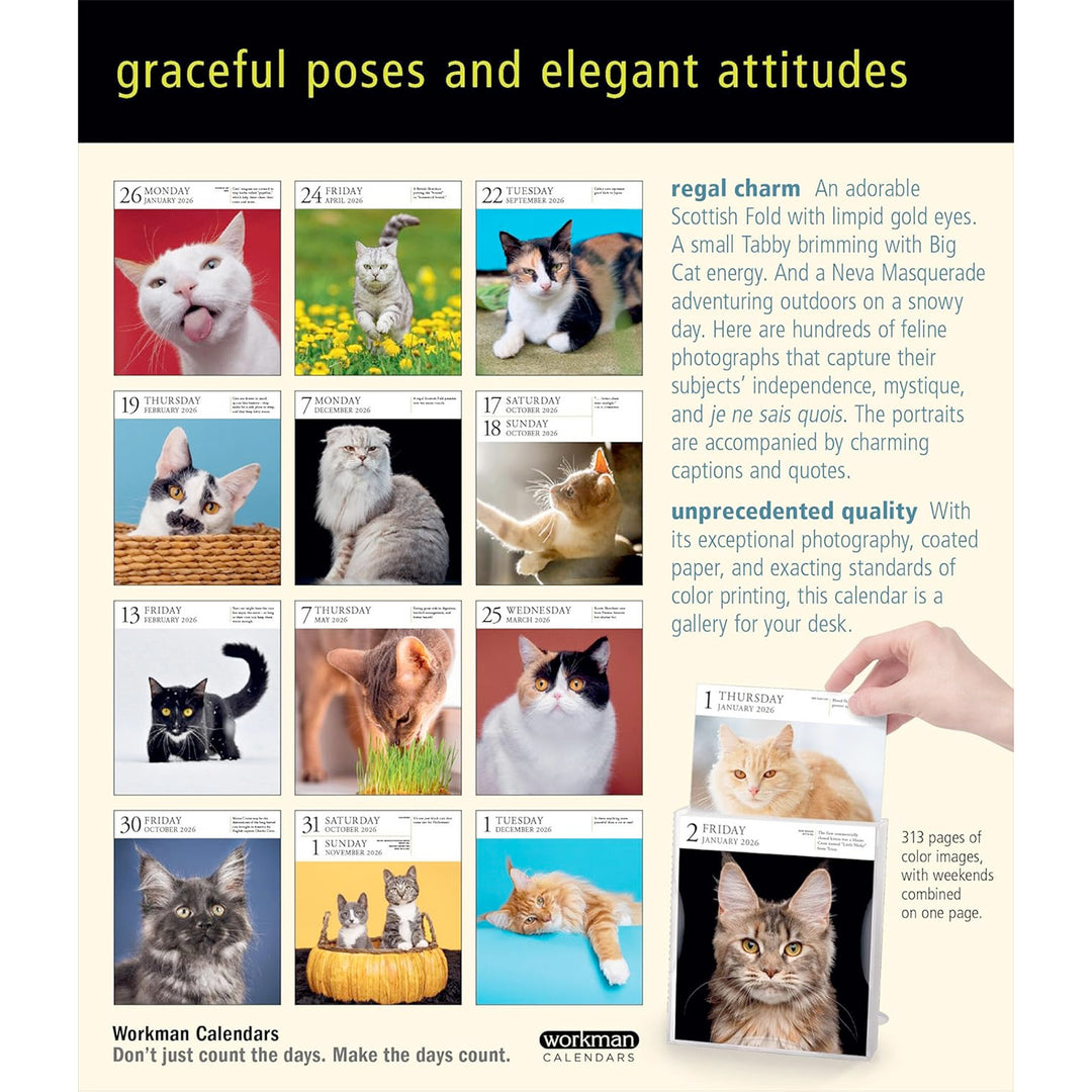 Cat Page-A-Day Gallery Calendar 2026
