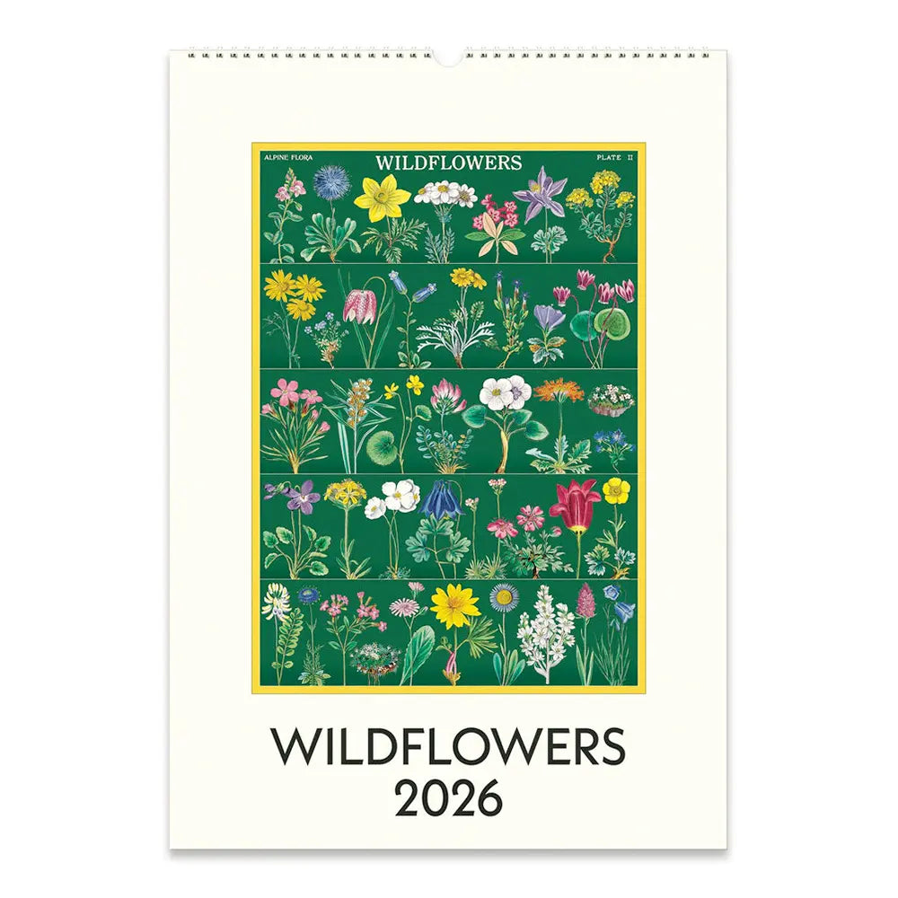 Cavallini Wildflowers 2026 Wall Calendar