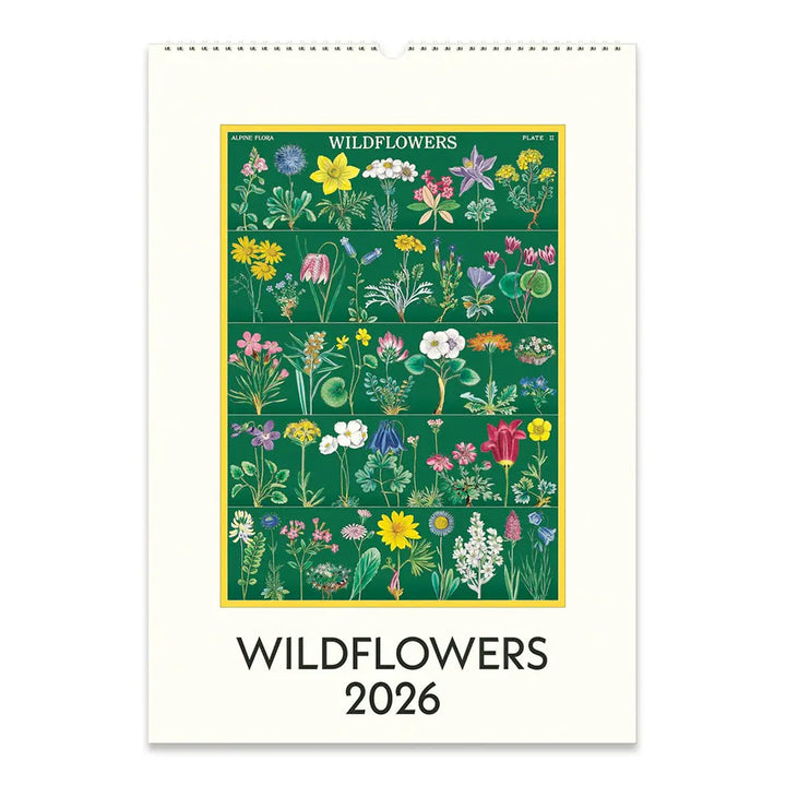 Cavallini Wildflowers 2026 Wall Calendar
