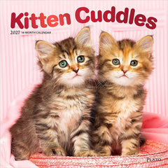 Photo of 2027 Kitten Cuddles Wall Calendar.