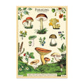 Cavallini & Co. 20" x 28" Foraging Wrap thumbnail