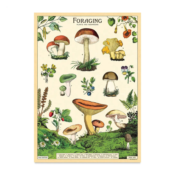 Cavallini & Co. 20" x 28" Foraging Wrap