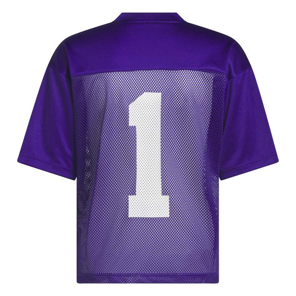 adidas Men's Washington Huskies Mesh Tailgate Football Jersey