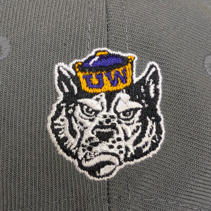 adidas Gray Washington Huskies SS25 A Frame Adjustable Hat