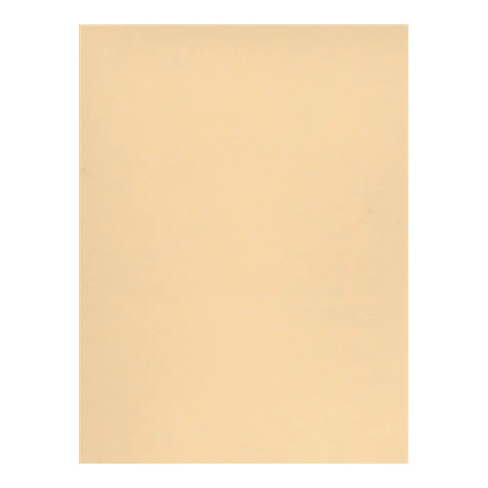 Canson 8.5x11 Mi-Teintes Paper