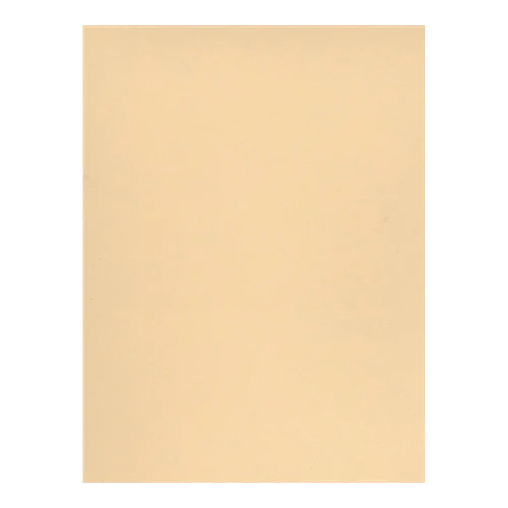 Canson 8.5x11 Mi-Teintes Paper