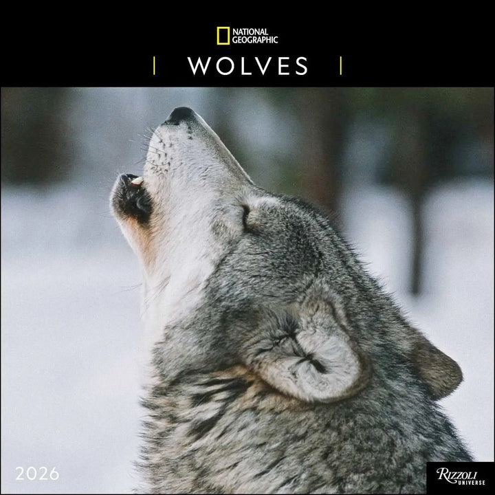 National Geographic Wolves 2026 Wall Calendar