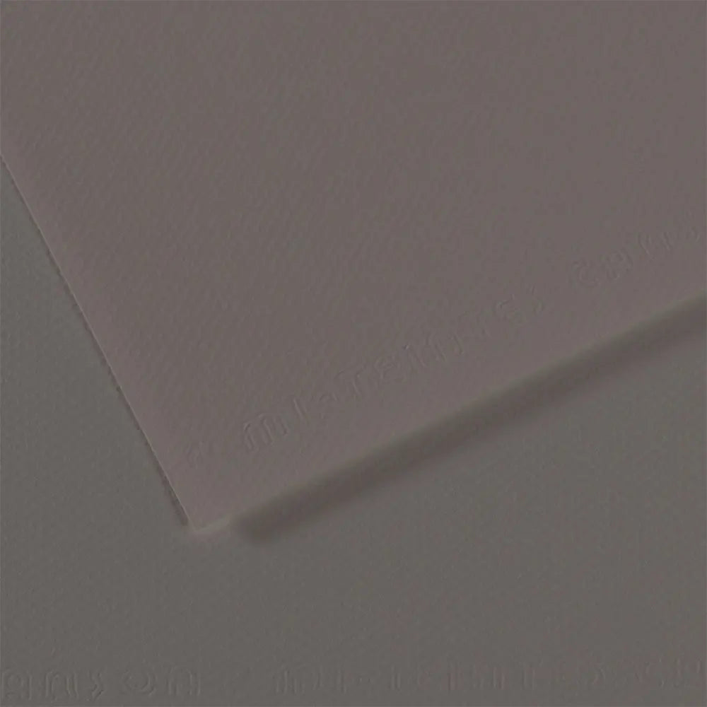 Canson 19x25 Mi-Teintes Paper