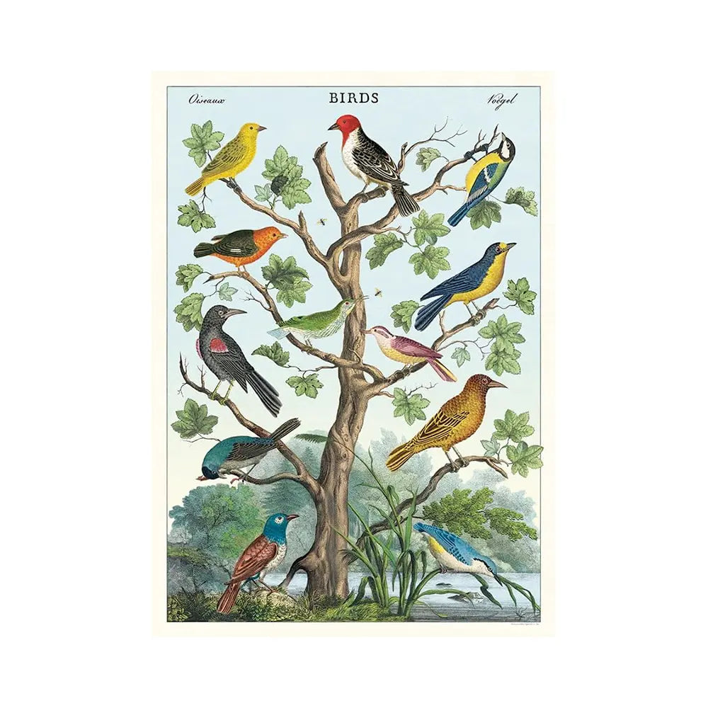 Cavallini 20" x 28" Birds in a Tree Decorative Paper