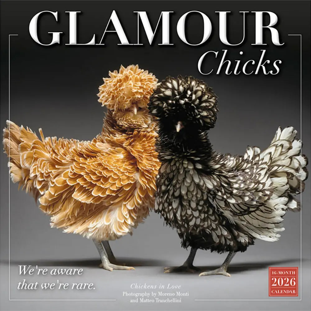 Small Changes Glamour Chicks 2026 Wall Calendar