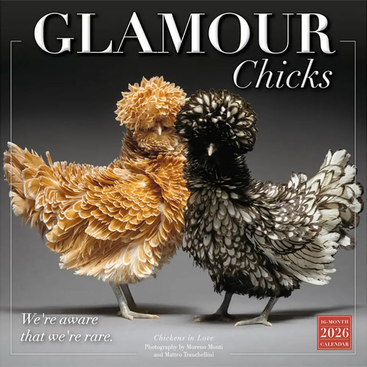 Small Changes Glamour Chicks 2026 Wall Calendar