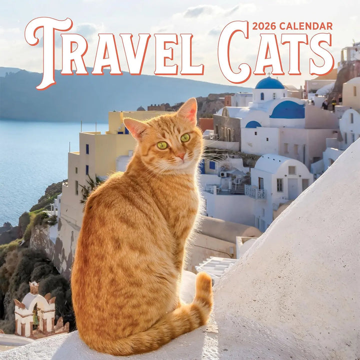Travel Cats Wall Calendar 2026