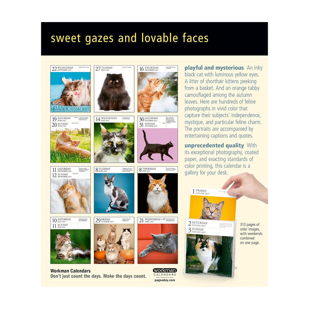 Cat Page-A-Day Gallery 2027 Calendar