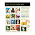 Cat Page-A-Day Gallery 2027 Calendar thumbnail