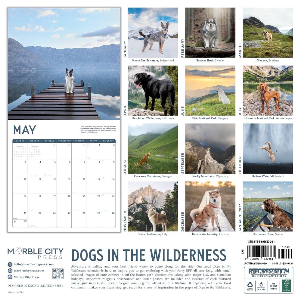 Small Changes Dogs in the Wilderness 2026 Wall Calendar