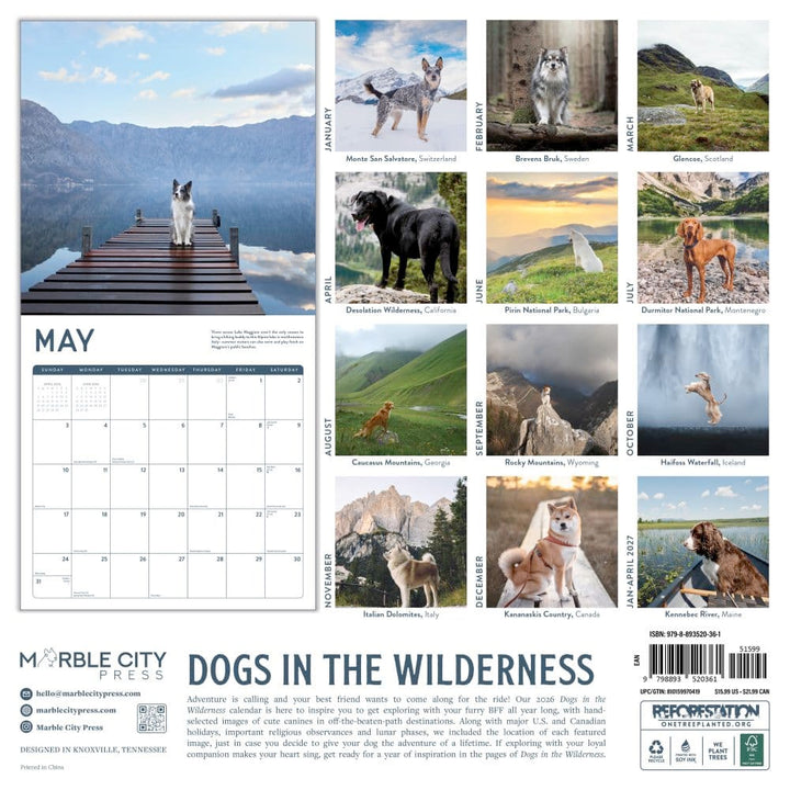 Small Changes Dogs in the Wilderness 2026 Wall Calendar
