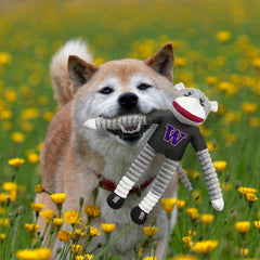 Little Earth Washington Sock Monkey Pet Toy Hover