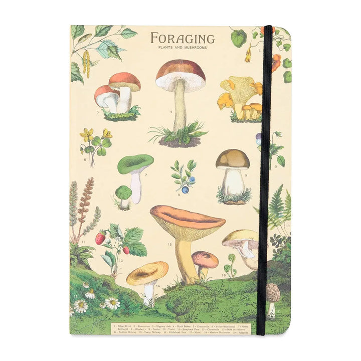 Cavallini Foraging Large Notebook