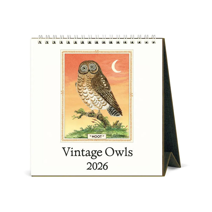 Cavallini Owls 2026 Desk Calendar