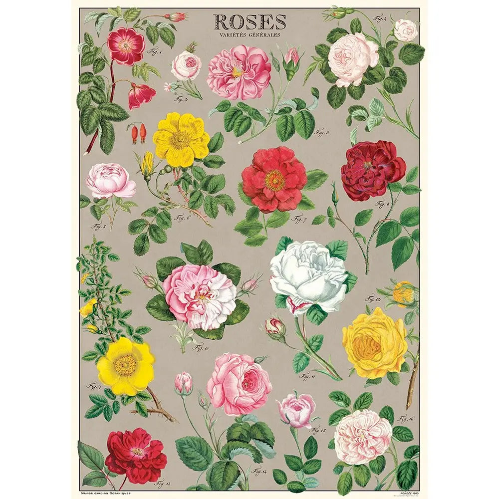 Cavallini 20" x 28" Roses Decorative Paper