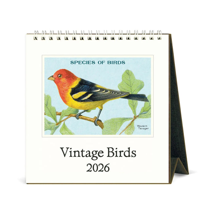 Cavallini Vintage Birds 2026 Desk Calendar
