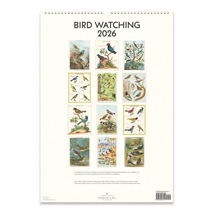 Cavallini Bird Watching 2026 Wall Calendar