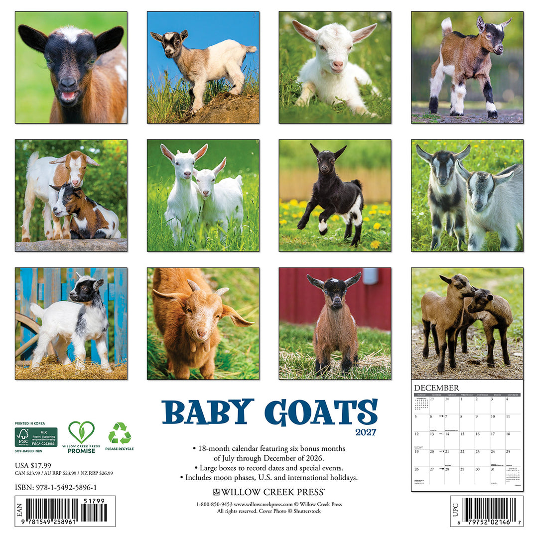 2027 Baby Goats Wall Calendar