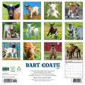 2027 Baby Goats Wall Calendar thumbnail