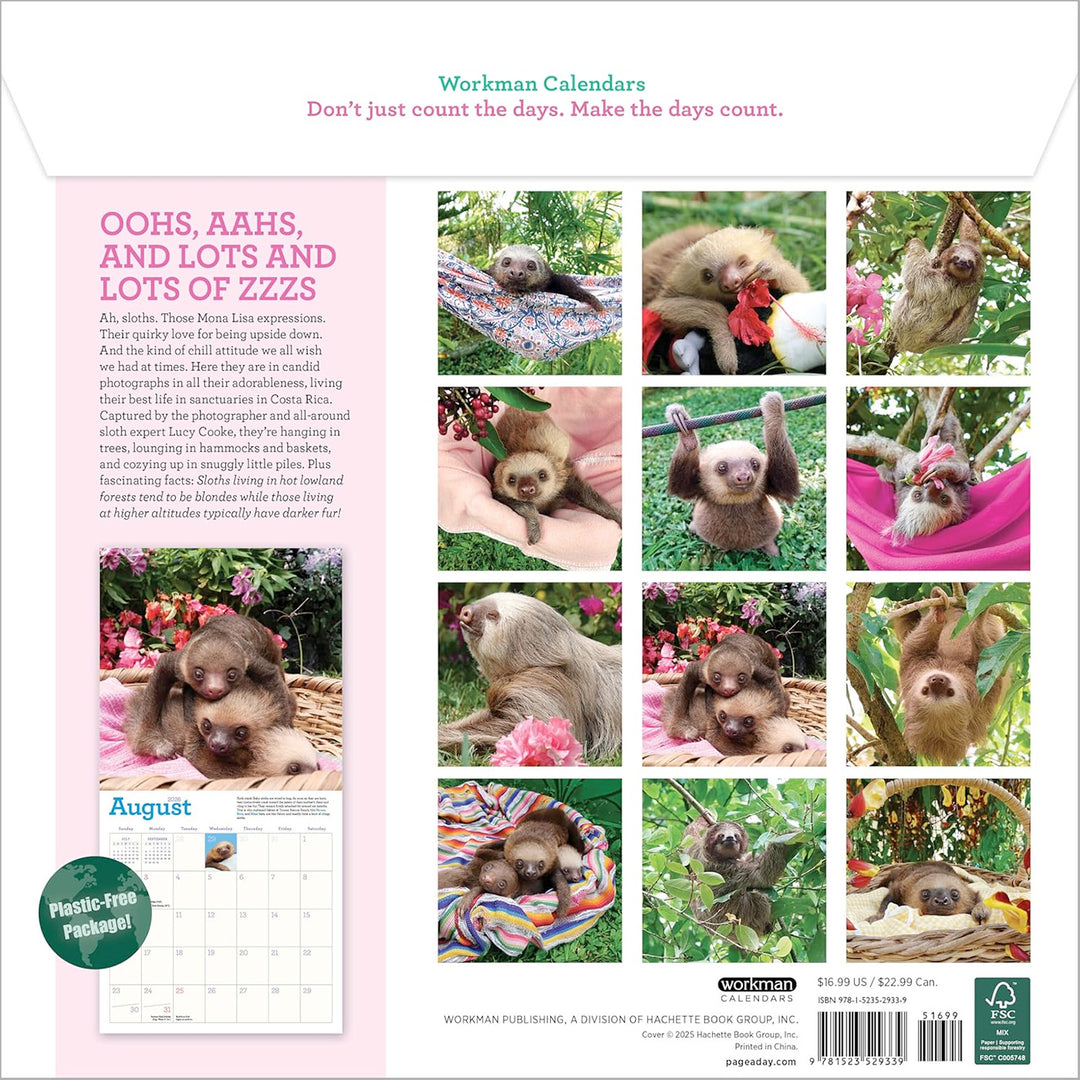 Original Sloths Wall Calendar 2026
