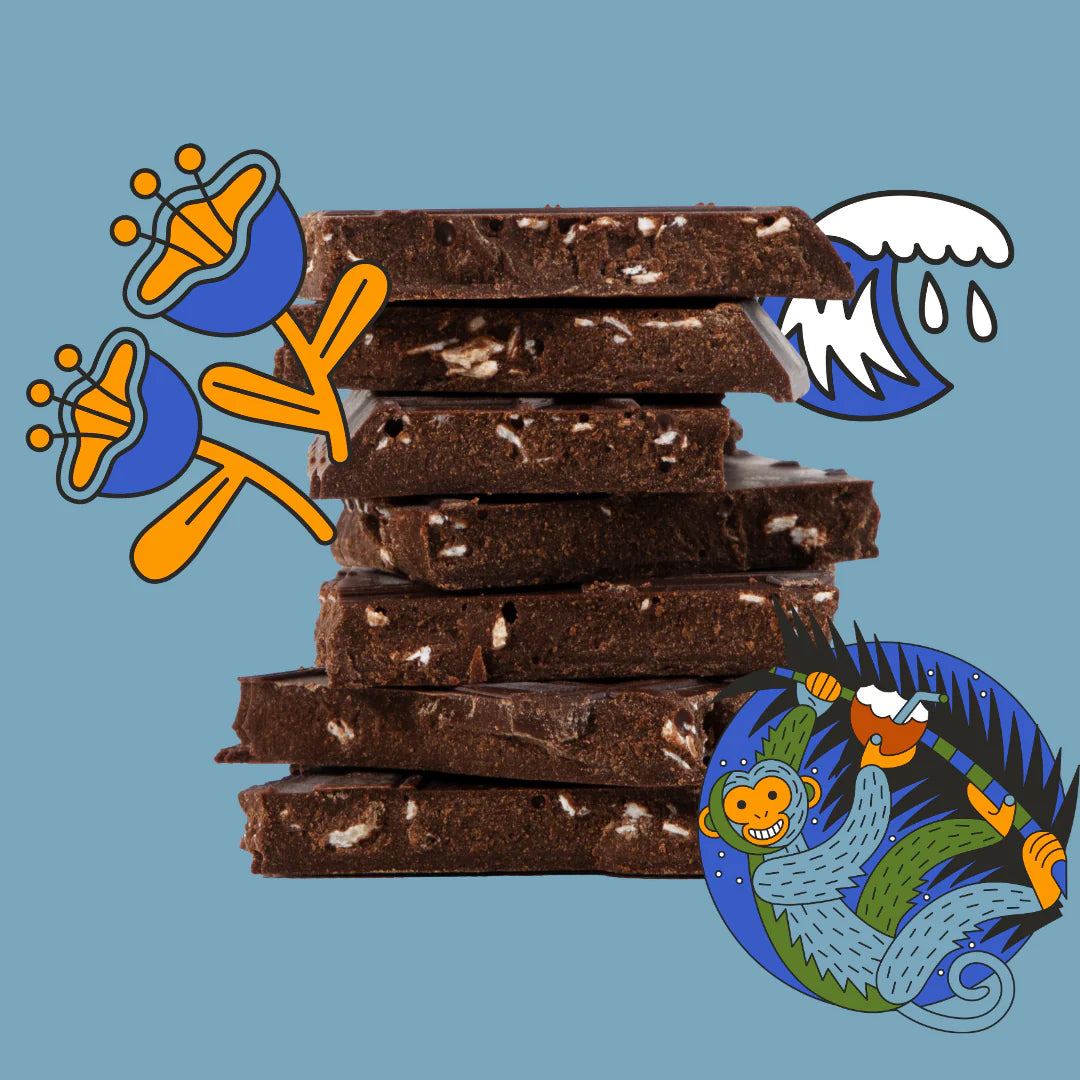Seattle Chocolate Coconut Island Truffle Bar