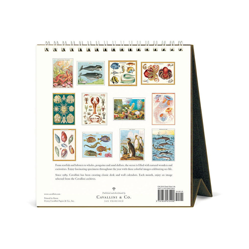 Cavallini Sea Life 2026 Desk Calendar