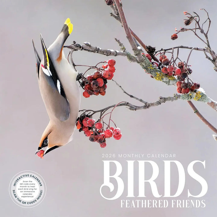 2026 Birds: Feathered Friends 16-month Wall Calendar