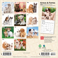 2027 Kittens & Puppies Mini Calendar Hover