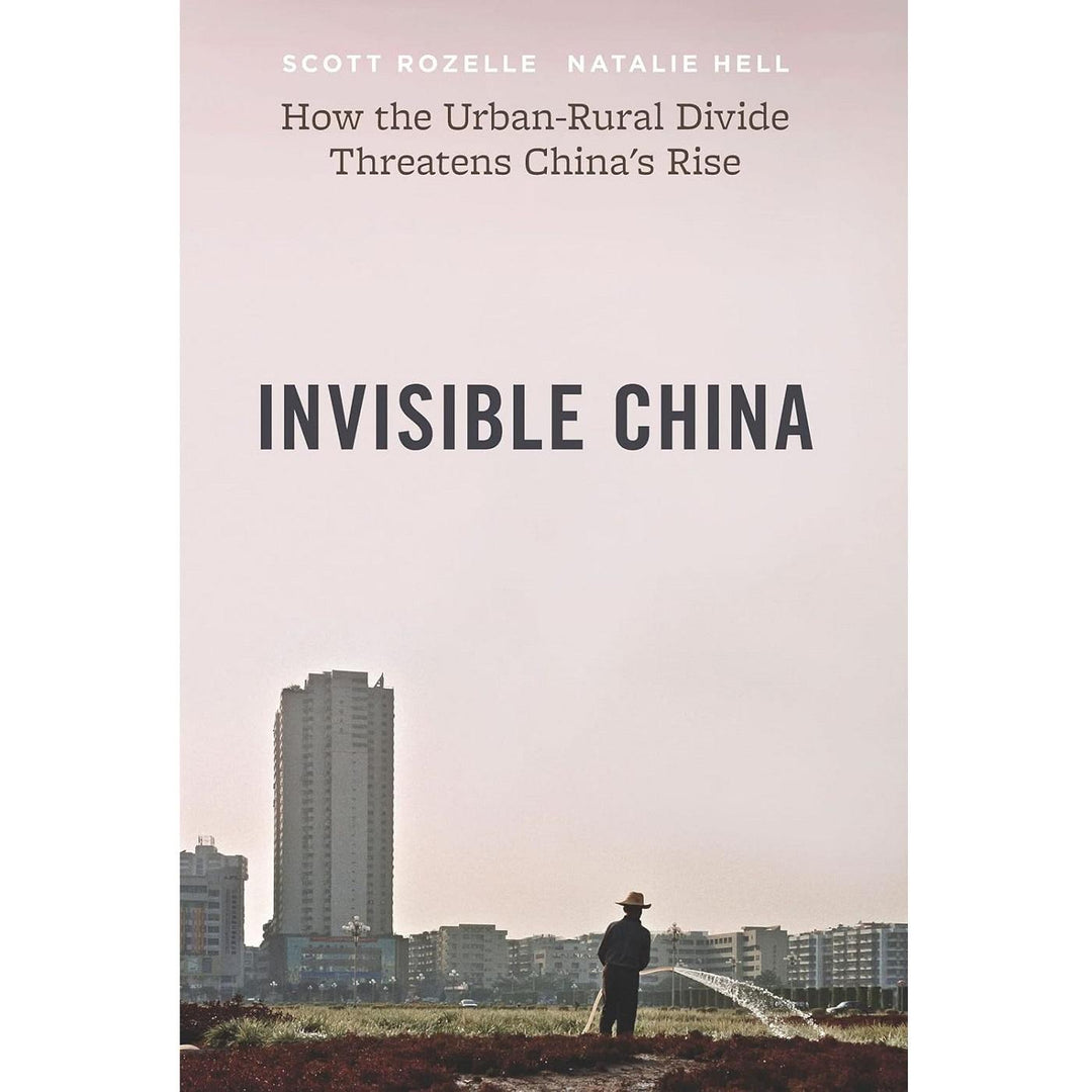 Invisible China
