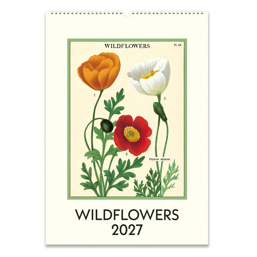 Cavallini Wildflowers 2027 Wall Calendar