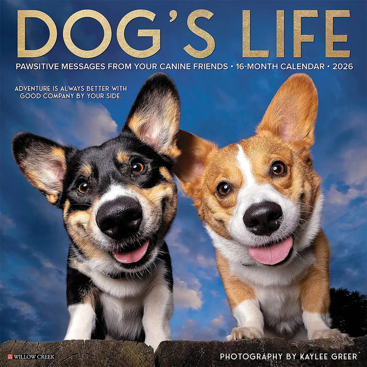 Small Changes Dog's Life 2026 Wall Calendar
