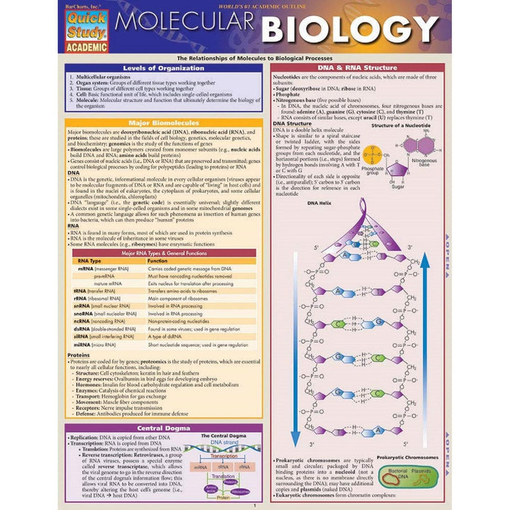 Molecular Biology Bar Chart