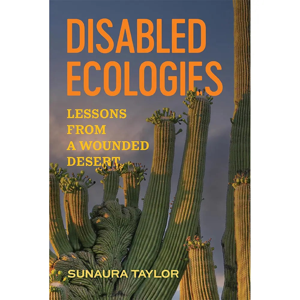 Disabled Ecologies: Lessons from a Wounded Desert