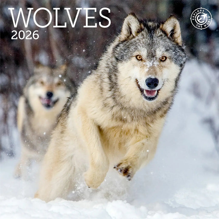 Small Changes Wolves 2026 Mini Wall Calendar