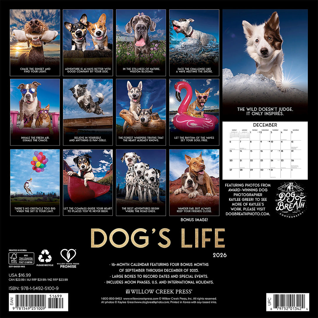 Small Changes Dog's Life 2026 Wall Calendar