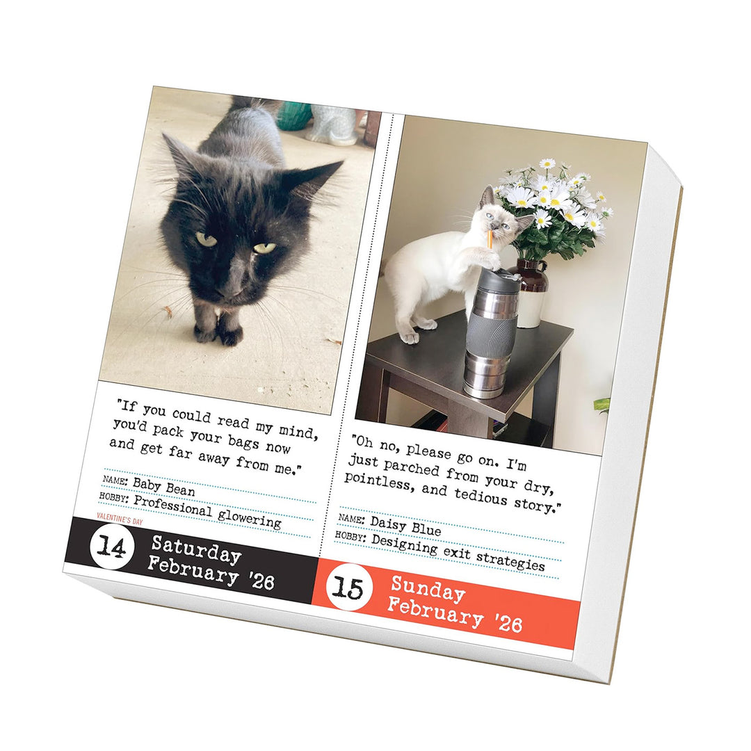 Bad Cat Page-A-Day Calendar 2026