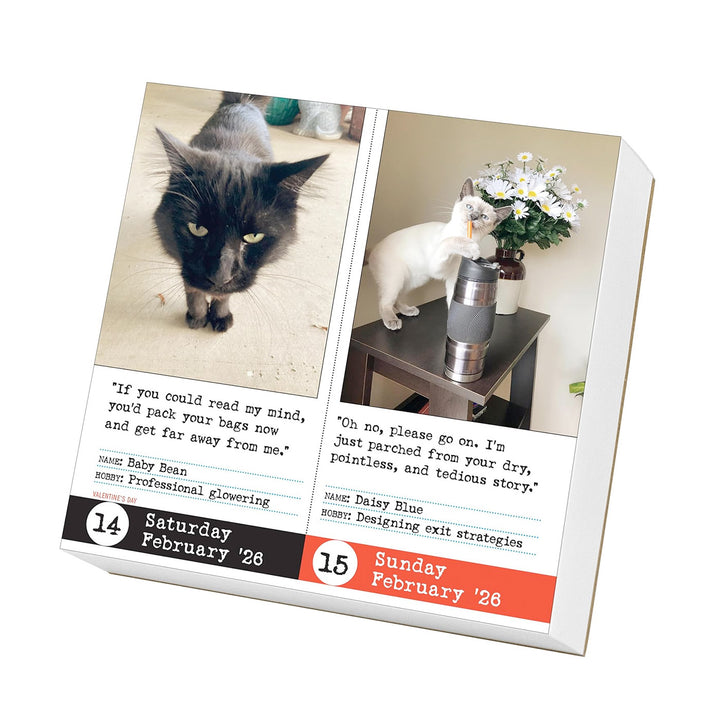 Bad Cat Page-A-Day Calendar 2026