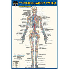 Photo of Circulatory System Pocket Guide.