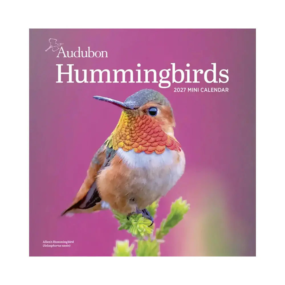Audubon Hummingbirds Mini Wall 2027 Calendar