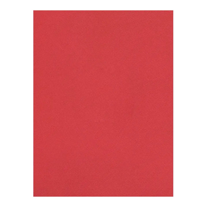 Canson 8.5x11 Mi-Teintes Paper