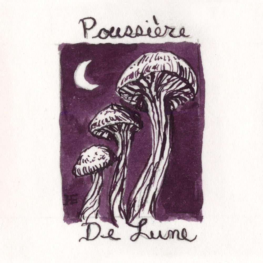 J. Herbin 10ml Fountain Pen Ink