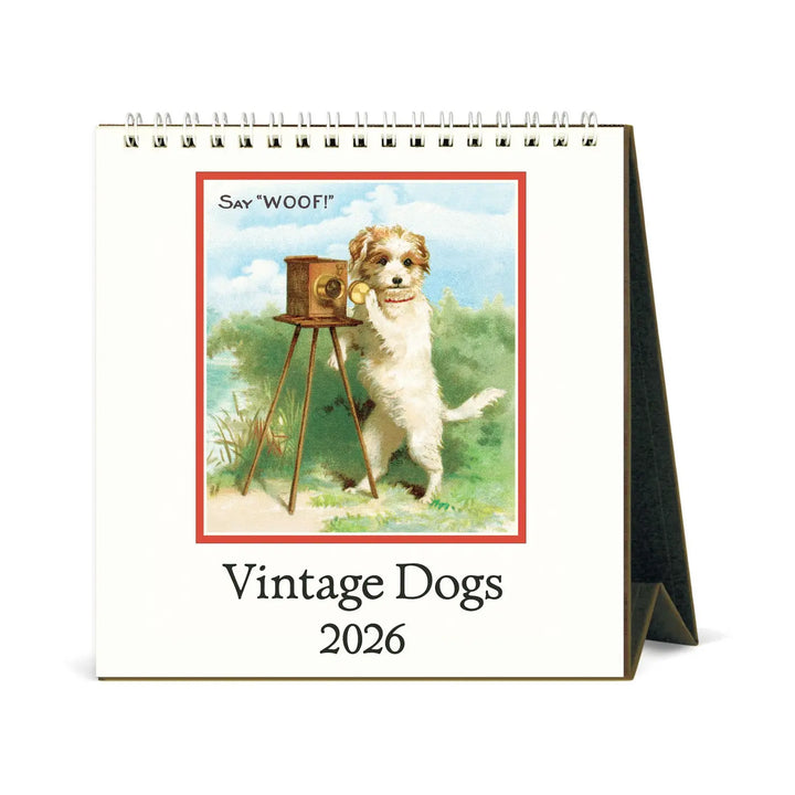 Cavallini Dogs 2026 Desk Calendar