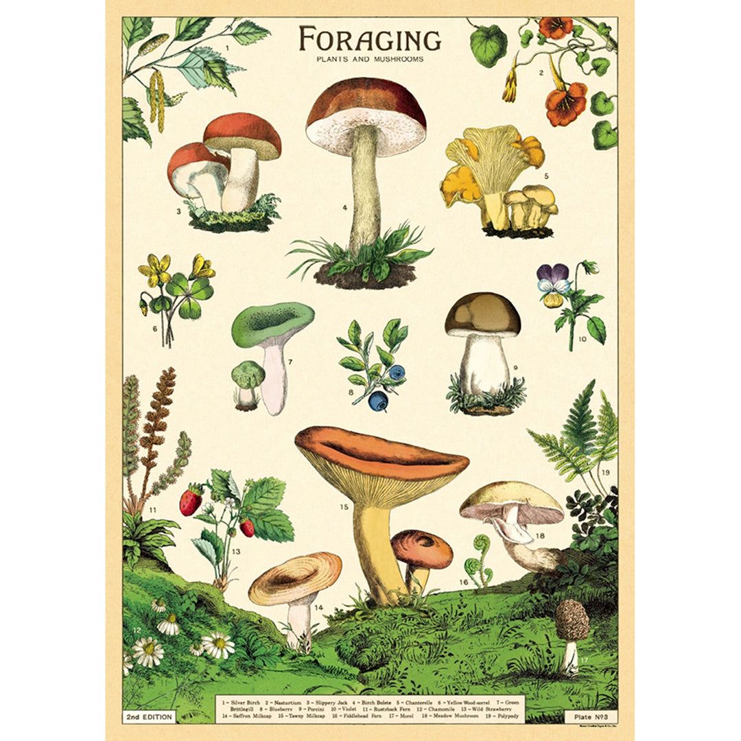 Cavallini & Co. 20" x 28" Foraging Wrap